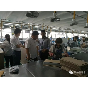 伊萊克斯及印度BMR公司來(lái)我司工作交流